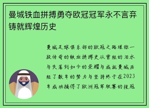 曼城铁血拼搏勇夺欧冠冠军永不言弃铸就辉煌历史