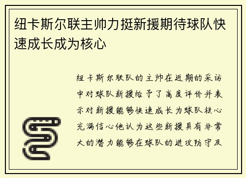 纽卡斯尔联主帅力挺新援期待球队快速成长成为核心